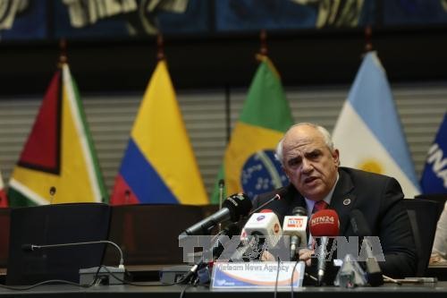 Союз южноамериканских наций созвал внеочередное заседание о ситуации в Венесуэле - ảnh 1